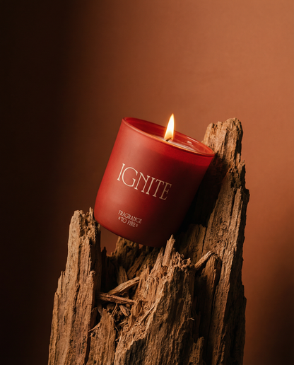 Fragrance to Fire candle labelled 'IGNITE' on a wooden stump with a warm brown background. Fan into flame the gifts God has in you.